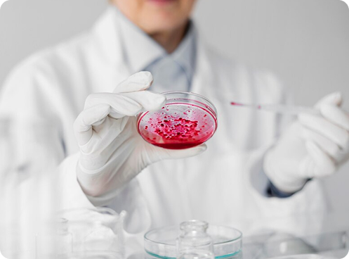 Research & Development